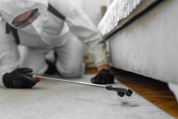 Professional Termite Control technician working in Mount Cobb, PA